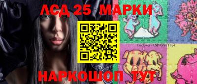 СК Камышлов