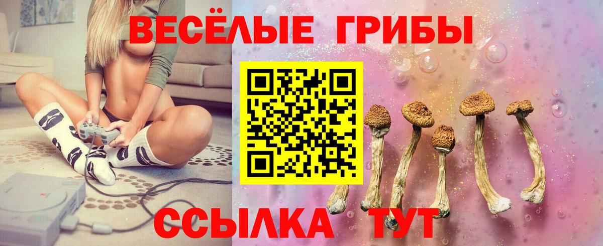 Псилоцибиновые грибы MAGIC MUSHROOMS  Вход с VPN  Псилоцибиновые грибы прущие грибы  магазин  наркотиков  Лысьва 